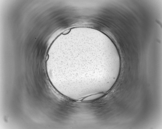 X0000100191344200806271609