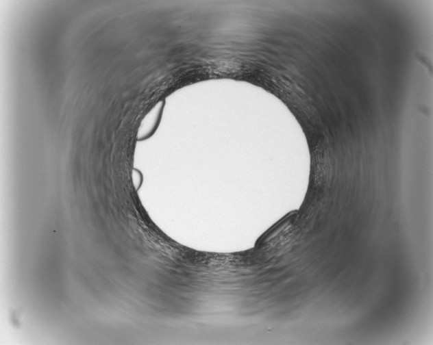X0000100191345200806271609