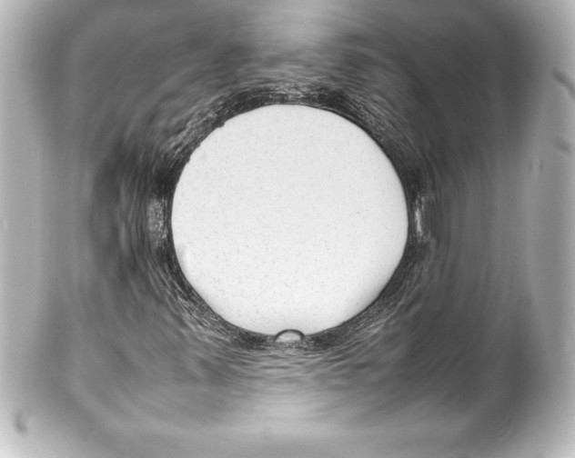 X0000100191347200806271609