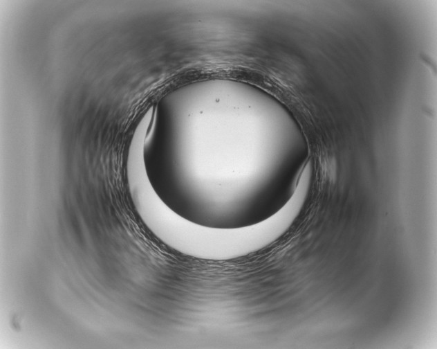 X0000100191348200806271609