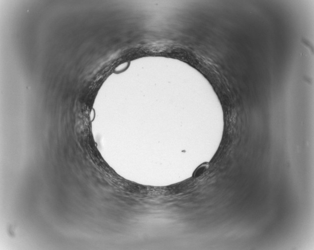 X0000100191349200806271609