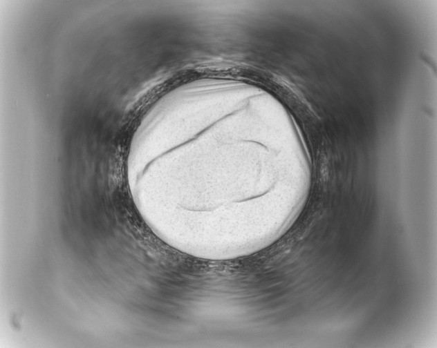 X0000100191350200806271609