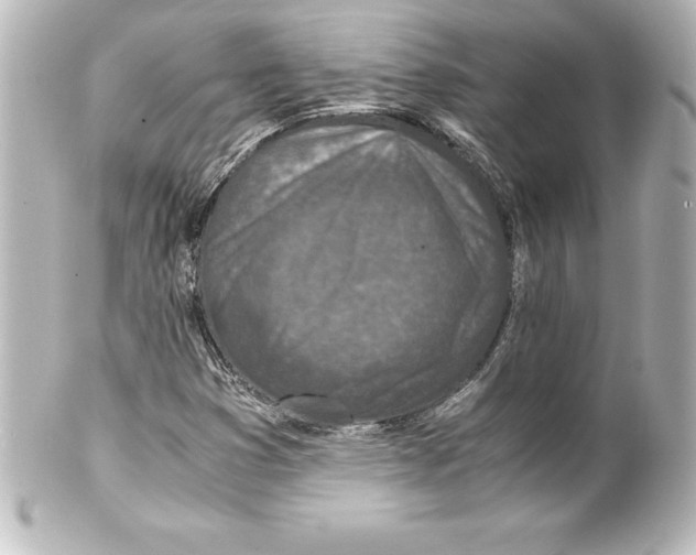 X0000100191353200806271609
