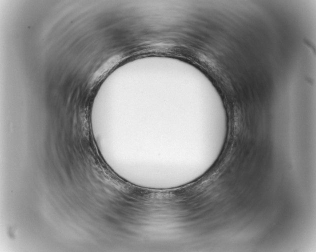 X0000100191354200806271609
