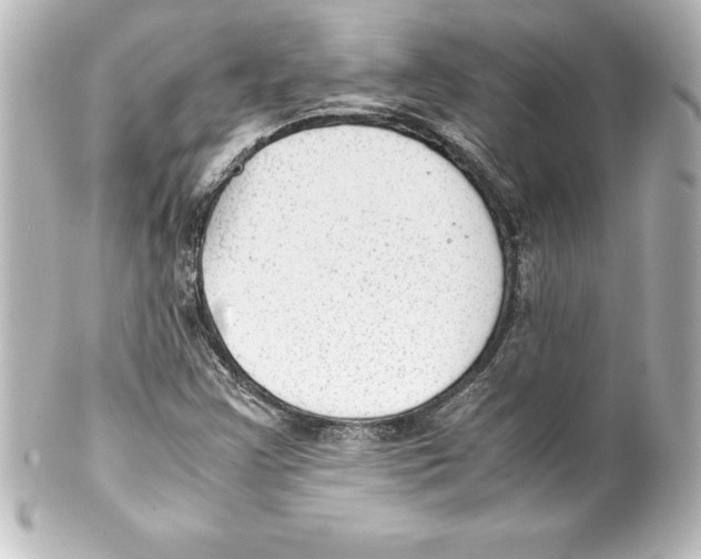 X0000100191355200806271609