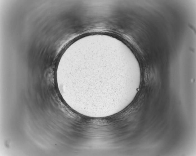 X0000100191356200806271609
