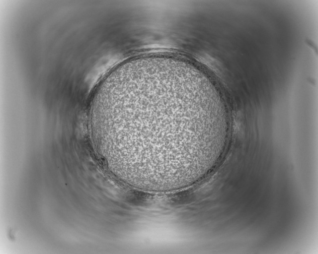 X0000100191357200806271609
