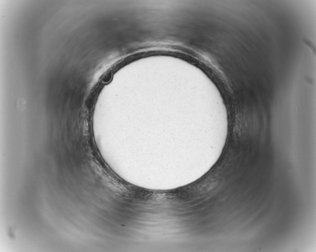 X0000100191360200806271608