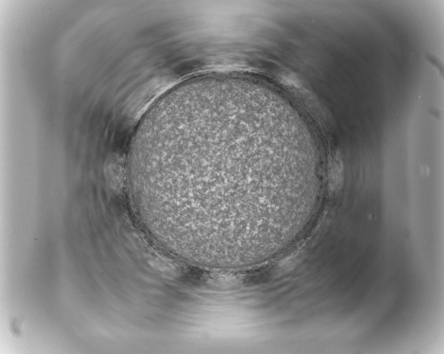X0000100191361200806271608