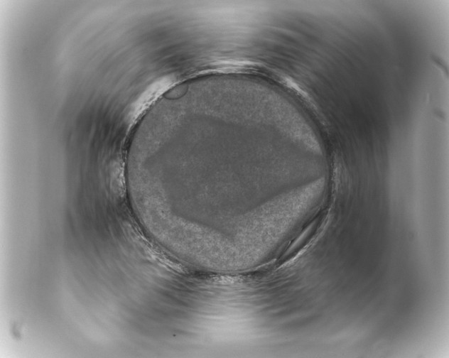 X0000100191362200806271608