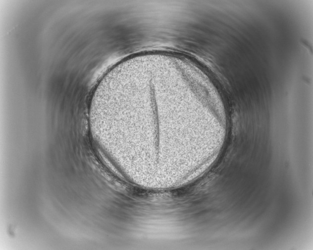 X0000100191363200806271608
