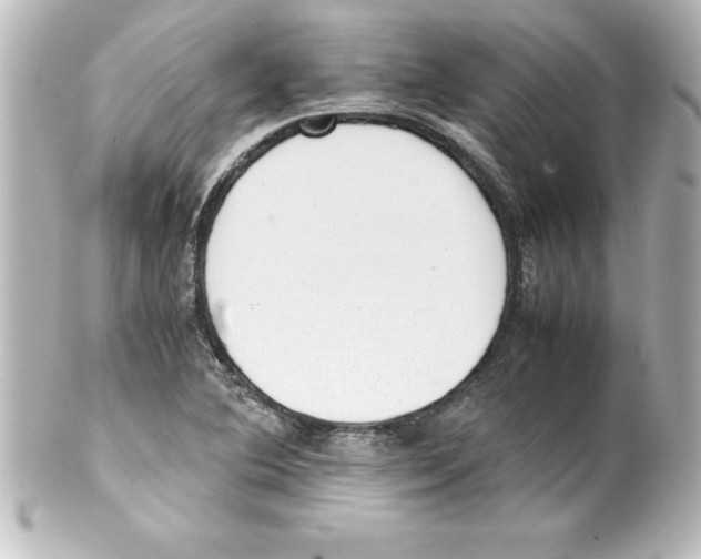 X0000100191364200806271608