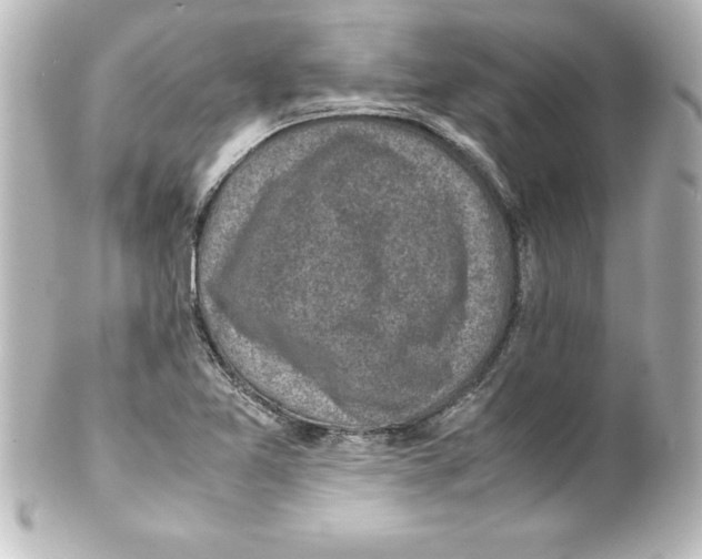 X0000100191365200806271608
