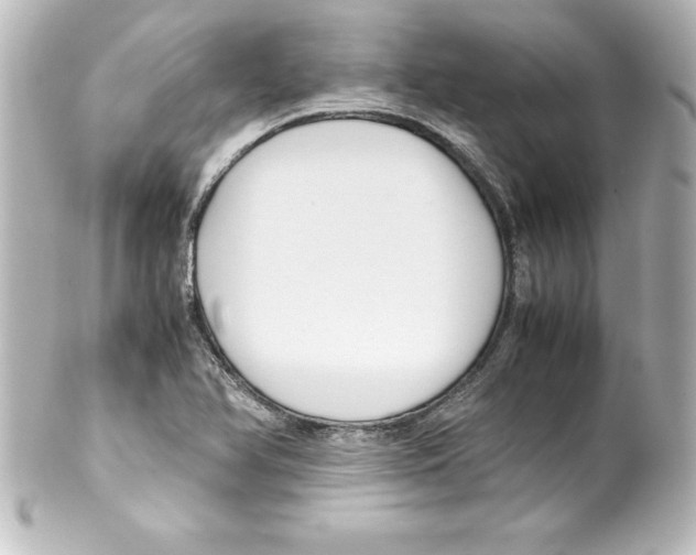 X0000100191366200806271608