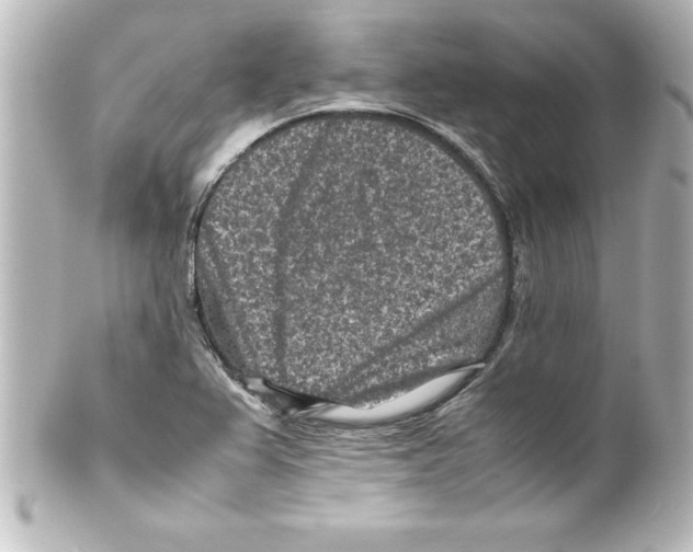 X0000100191367200806271608