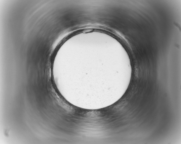 X0000100191368200806271608