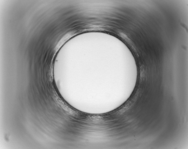 X0000100191370200806271608