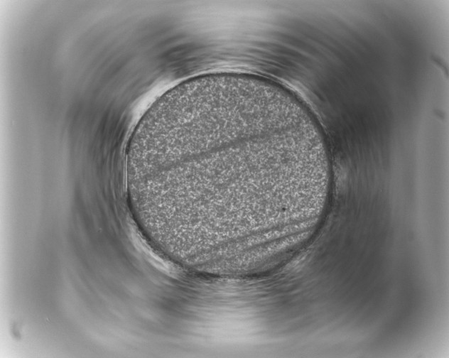 X0000100191371200806271608