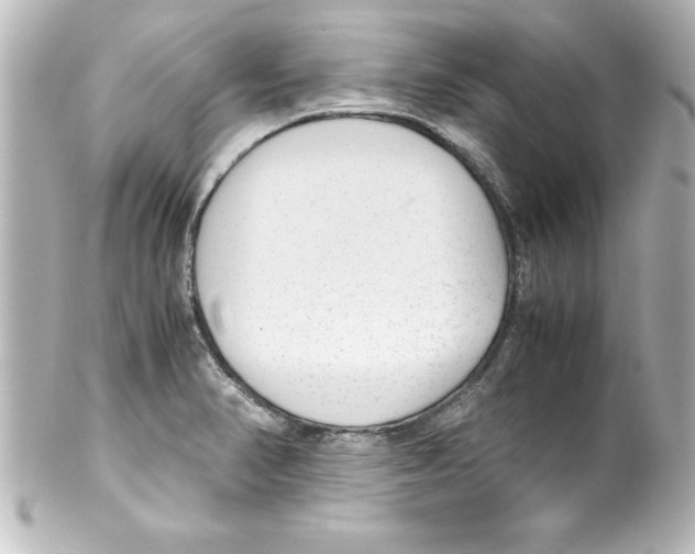 X0000100191374200806271608
