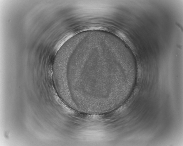 X0000100191377200806271608