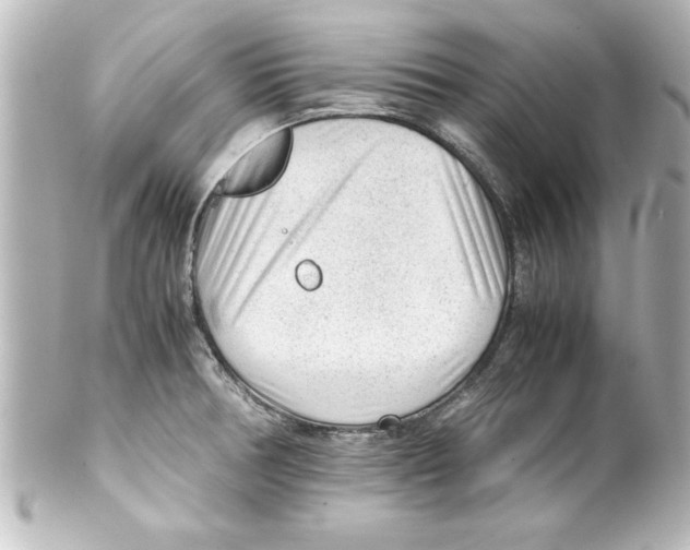 X0000100191378200806271608