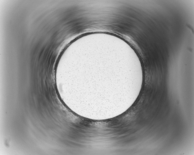 X0000100191380200806271608