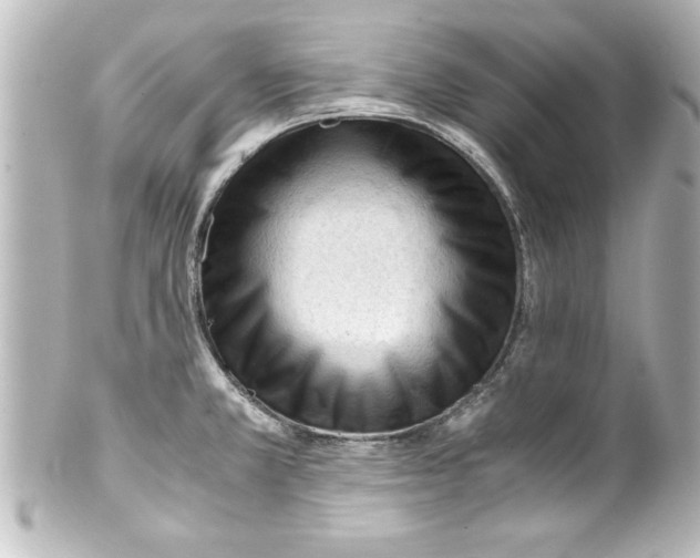 X0000100191381200806271608