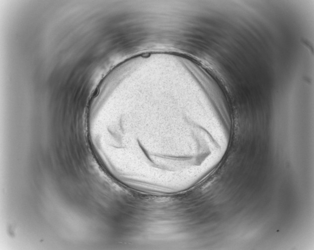 X0000100191382200806271608
