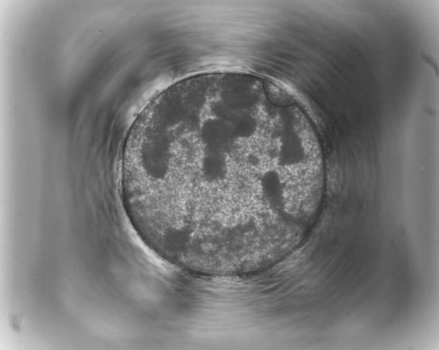 X0000100191383200806271608