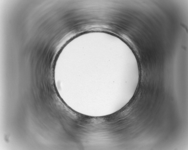 X0000100191384200806271608