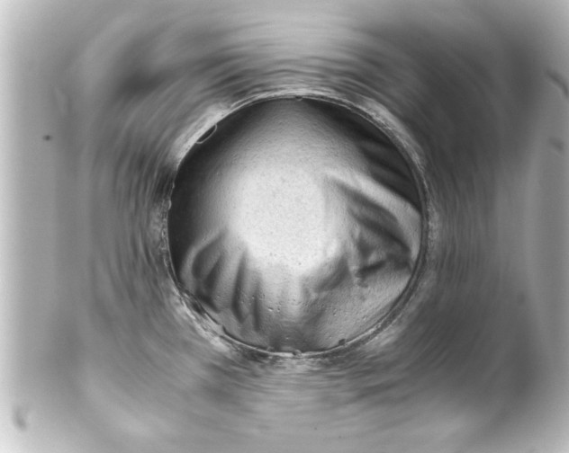 X0000100191385200806271608