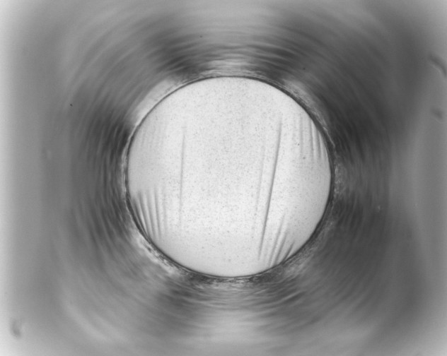 X0000100191386200806271608