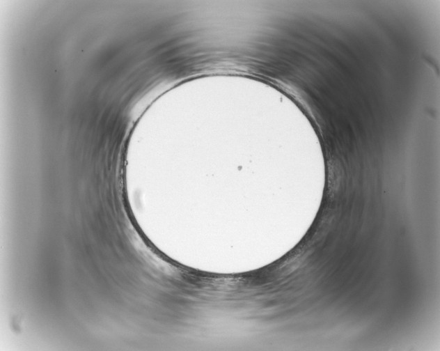X0000100191387200806271608