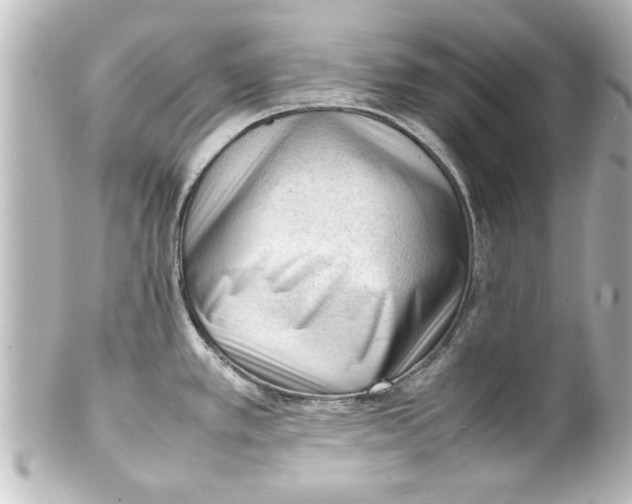 X0000100191389200806271608