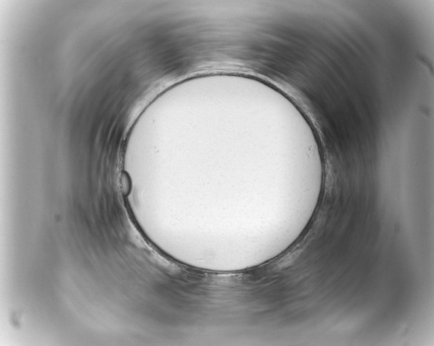 X0000100191390200806271608