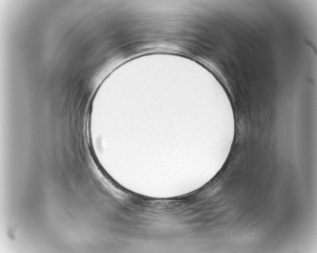 X0000100191391200806271608