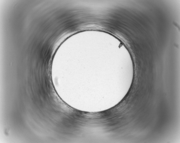 X0000100191392200806271608