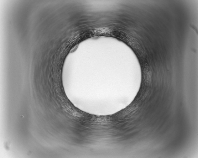 X0000100191393200806271607