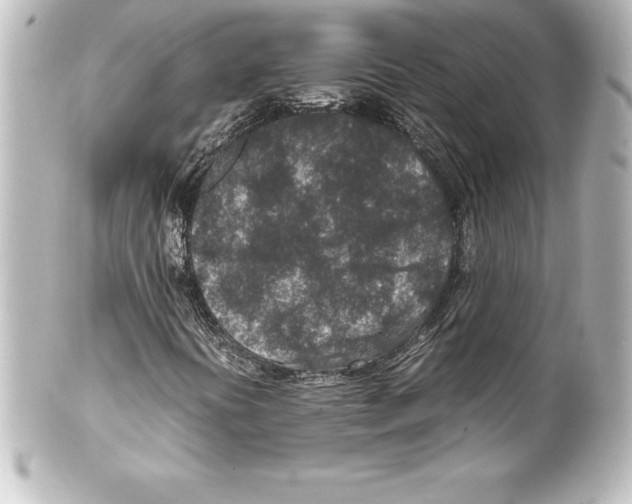 X0000100191394200806271607