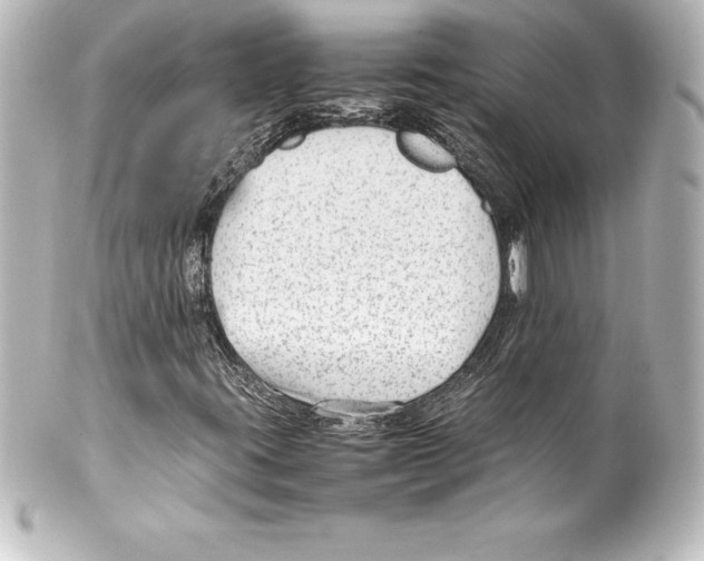 X0000100191395200806271607