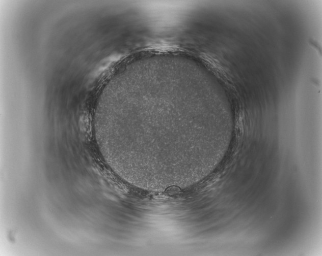 X0000100191398200806271607