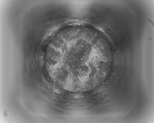 X0000100191399200806271607