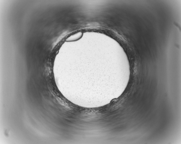 X0000100191400200806271607