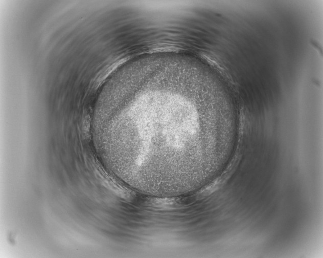 X0000100191401200806271607