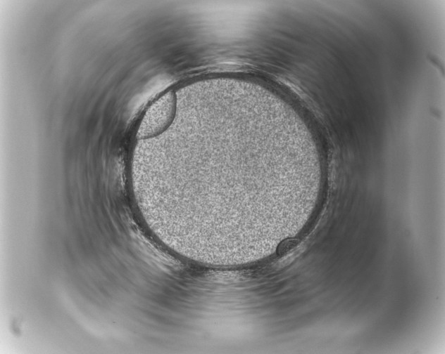 X0000100191402200806271607
