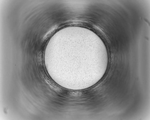 X0000100191403200806271607