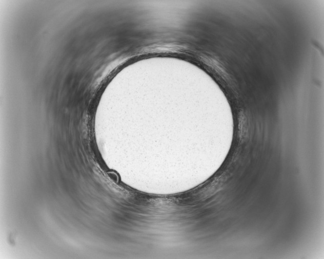 X0000100191404200806271607