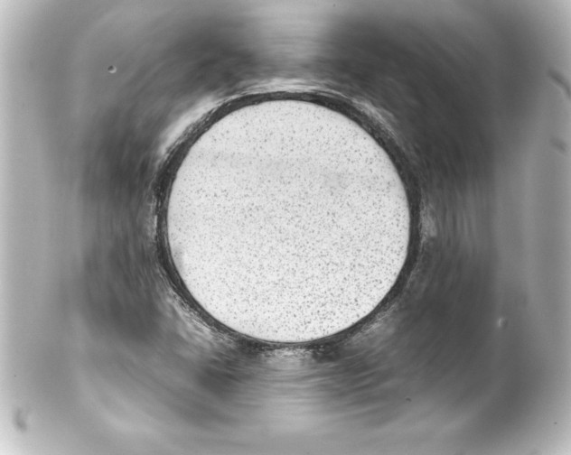 X0000100191406200806271607