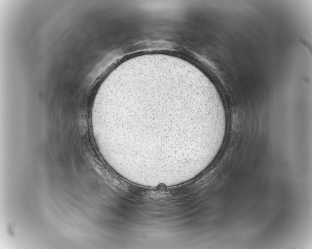 X0000100191407200806271607