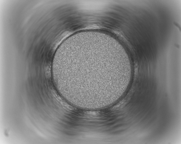 X0000100191409200806271608